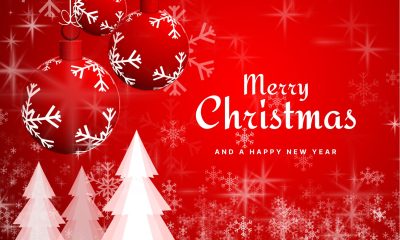 Merry Christmas & Happy New Year